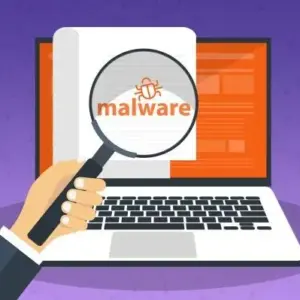 Malware Removal Service